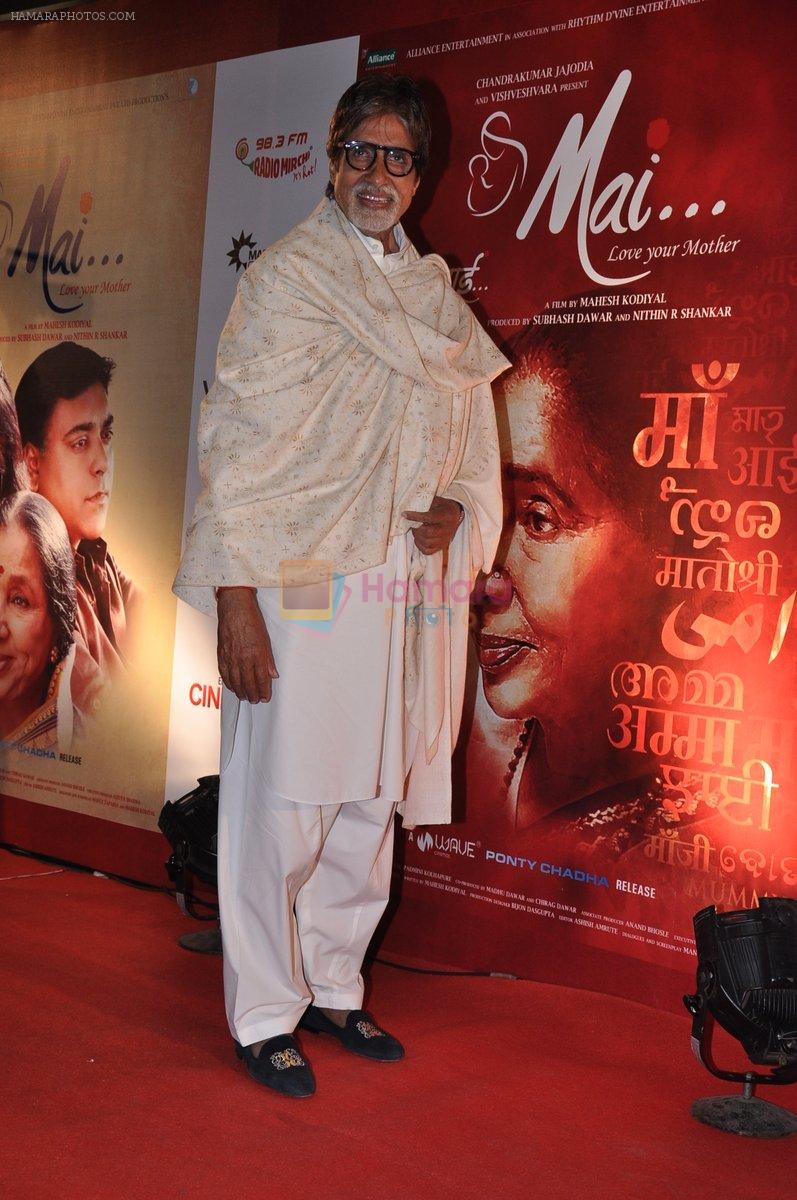 Amitabh Bachchan at Mai Premiere in Mumbai on 31st Jan 2013