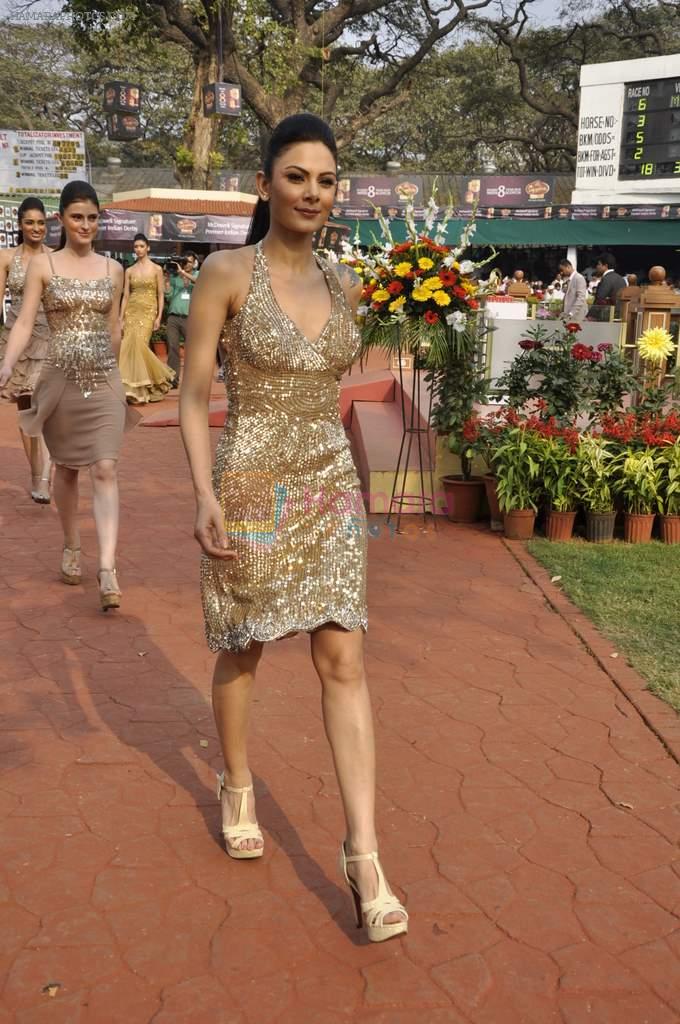 at McDowell Signature Premier Indian Derby 2013 day 1 in Mumbai on 3rd Feb 2013