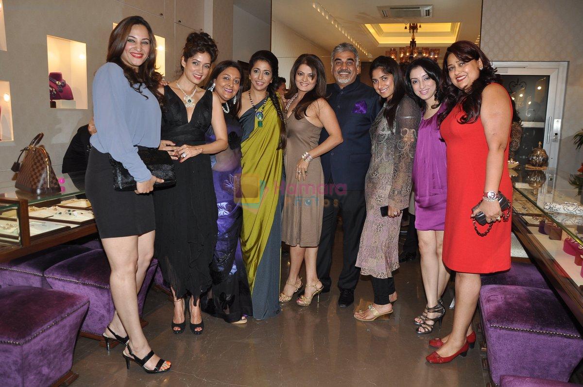 Vidya Malvade, Rakshanda Khan, Sheeba, Krishika Lulla at Pradeep jethani's Jet Gems Store Launch in Bandra, Mumbai on 13th Feb 2013