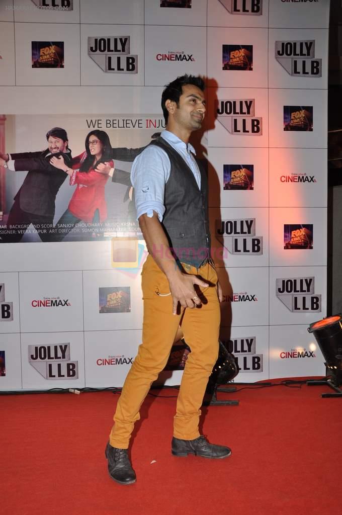 Ashmit Patel at the Premiere of the film Jolly LLB in Mumbai on 13th March 2013