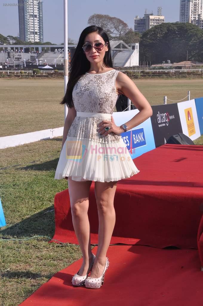 Sofia Hayat at Yes Bank International Polo Cup Match in Mahalaxmi Race Course, Mumbai on 16th March 2013