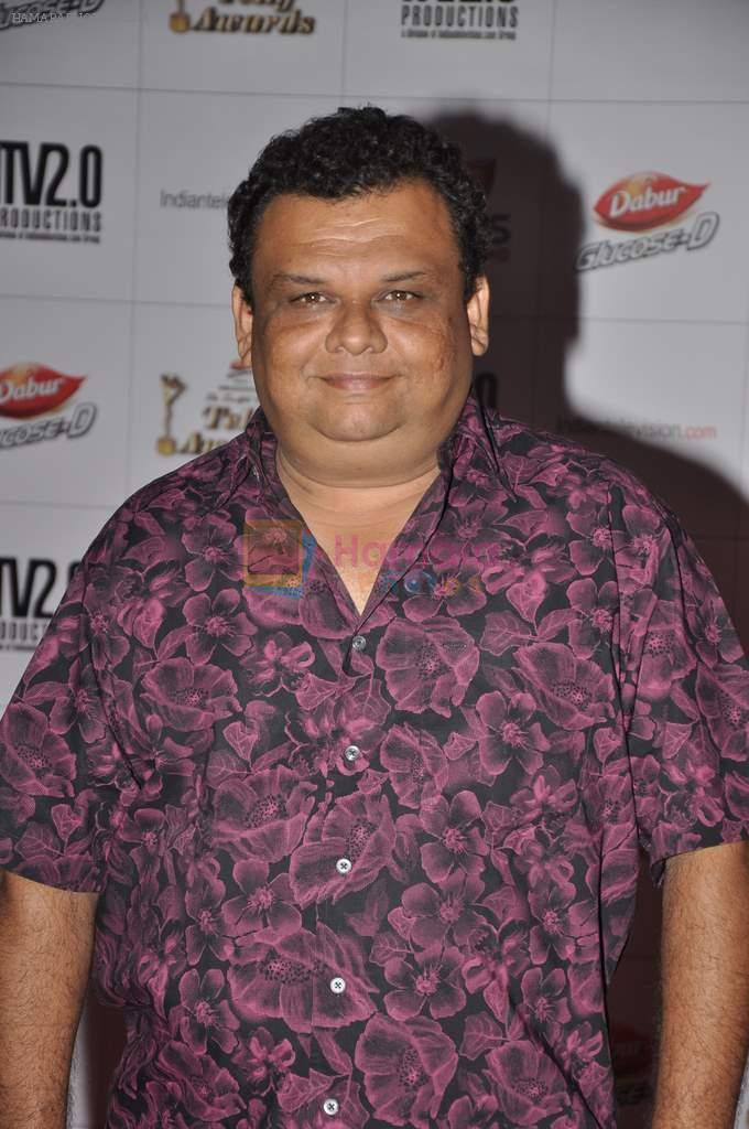 at Indian Telly Awards in Mumbai on 4th May 2013