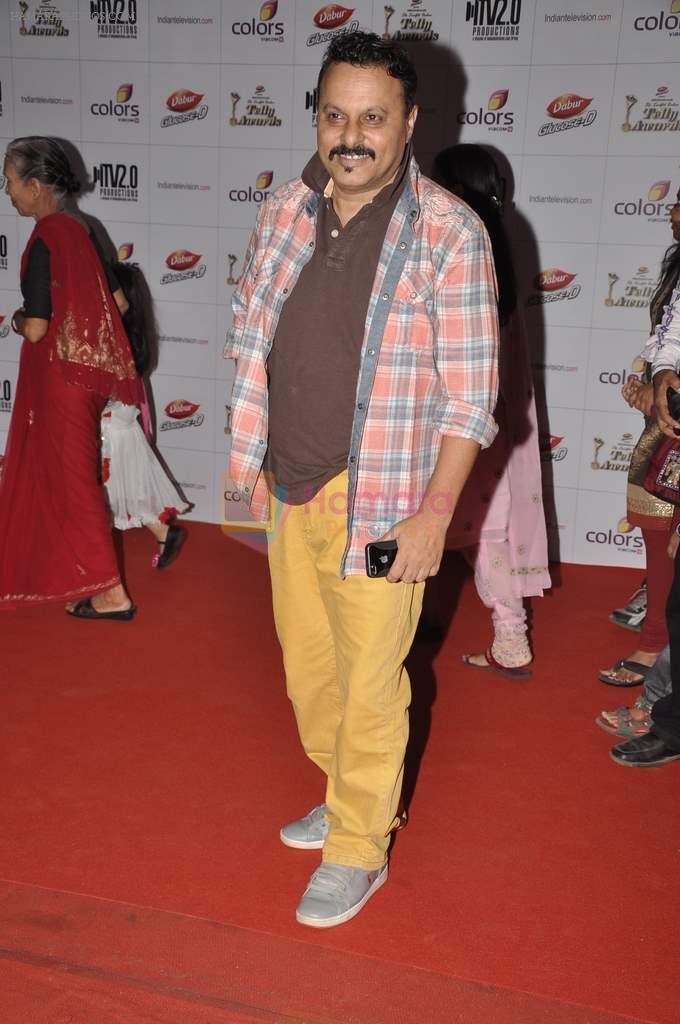 at Indian Telly Awards in Mumbai on 4th May 2013