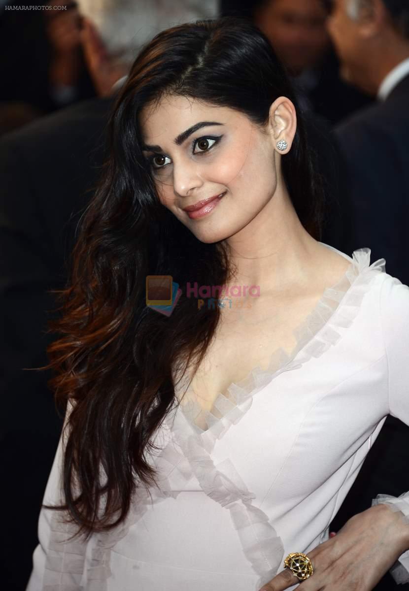 Pooja Gupta at All is Lost premiere at at Cannes Film Festival 2013 on 22nd May 2013