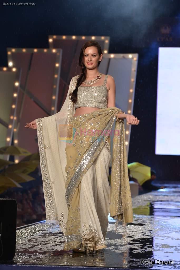 Evelyn Sharma at Shaina NC's fashion show for CPAA in Mumbai on 2nd June 2013