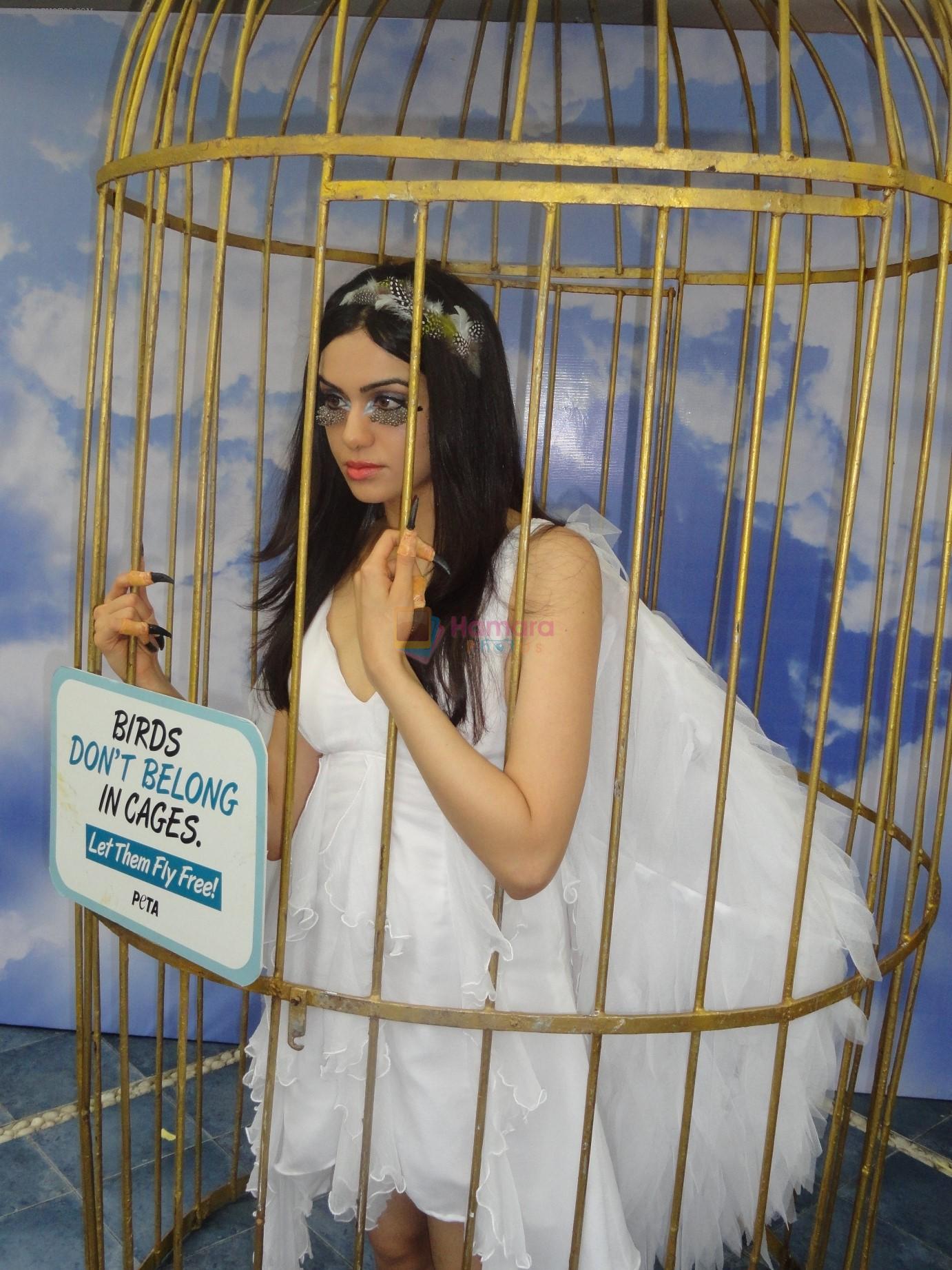 Adah Sharma Locks herself behind bars to speak up for caged birds on 11th June 2013