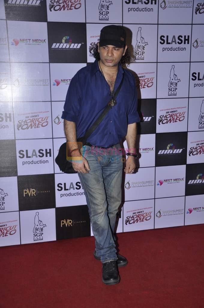 Mohit Chauhan at Shortcut Romeo screening in PVR, Mumbai on 20th June 2013
