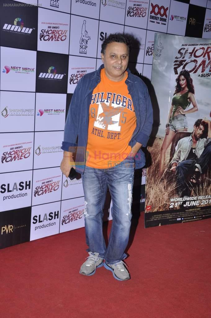 Anil Sharma at Shortcut Romeo screening in PVR, Mumbai on 20th June 2013