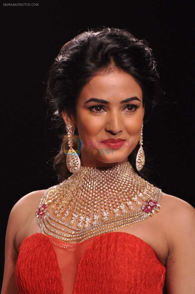 Sonal Chauhan walk the ramp for Kashi Jewels on Day 4 of IIJW 2013 on 7th Aug 2013
