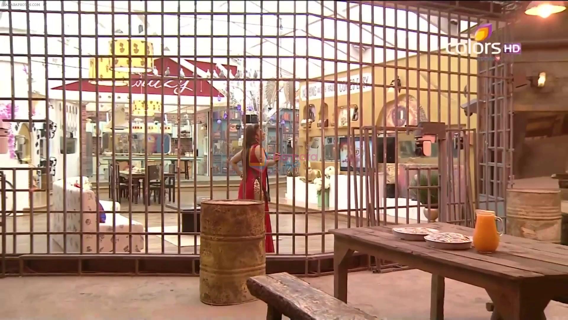 Tanisha Mukherjee enters Bigg Boss House in Season 7 - 1st Episode Stills