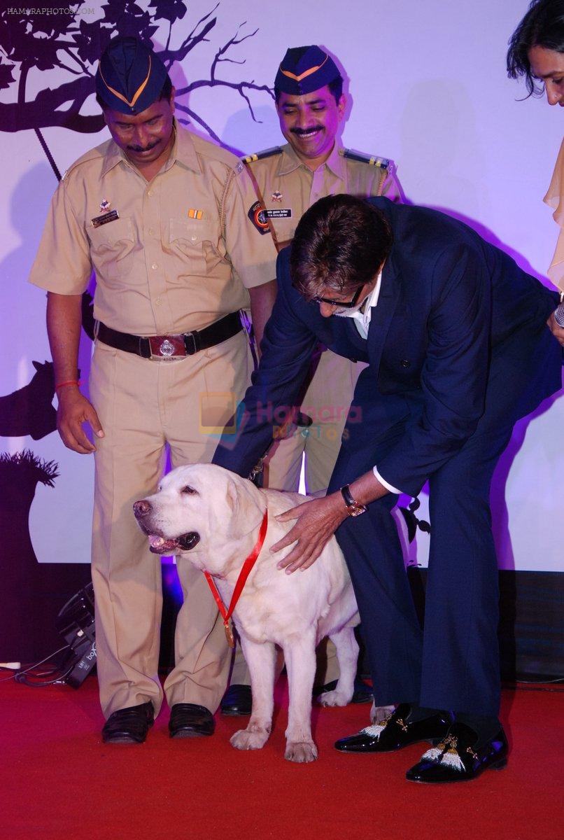 Amitabh Bachchan at Pawsitive People's Awards in Mumbai on 22nd Sept 2013