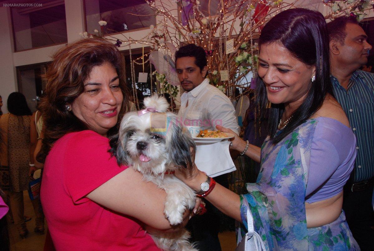 at Pawsitive People's Awards in Mumbai on 22nd Sept 2013