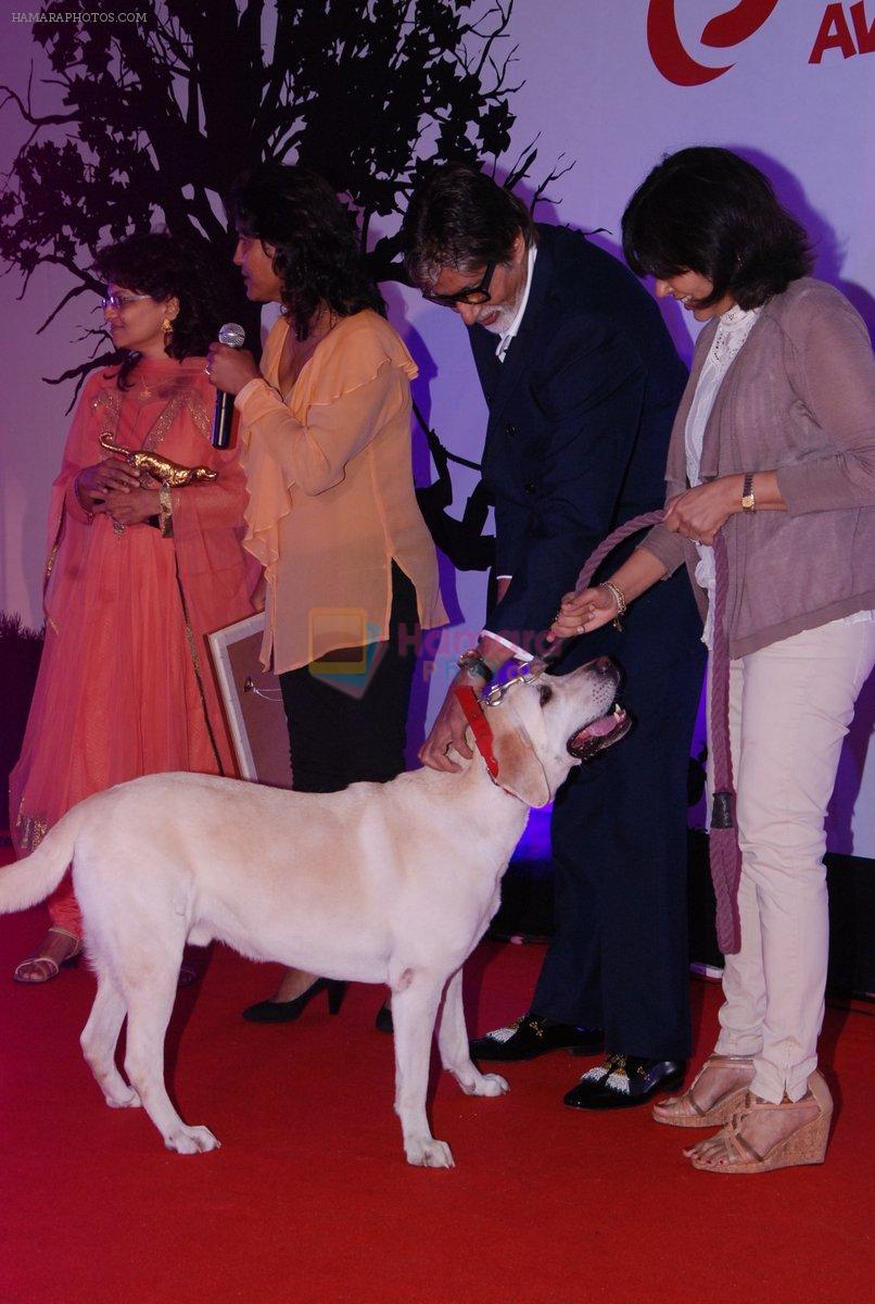 Amitabh Bachchan at Pawsitive People's Awards in Mumbai on 22nd Sept 2013