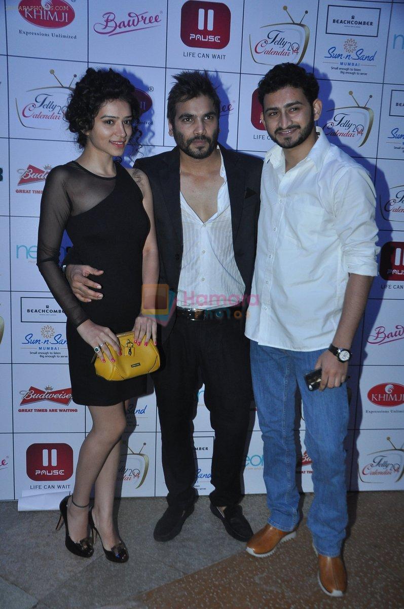 Sukirti Kandpal at the Launch of Telly Calendar 2014 in Mumbai on 29th Sept 2013