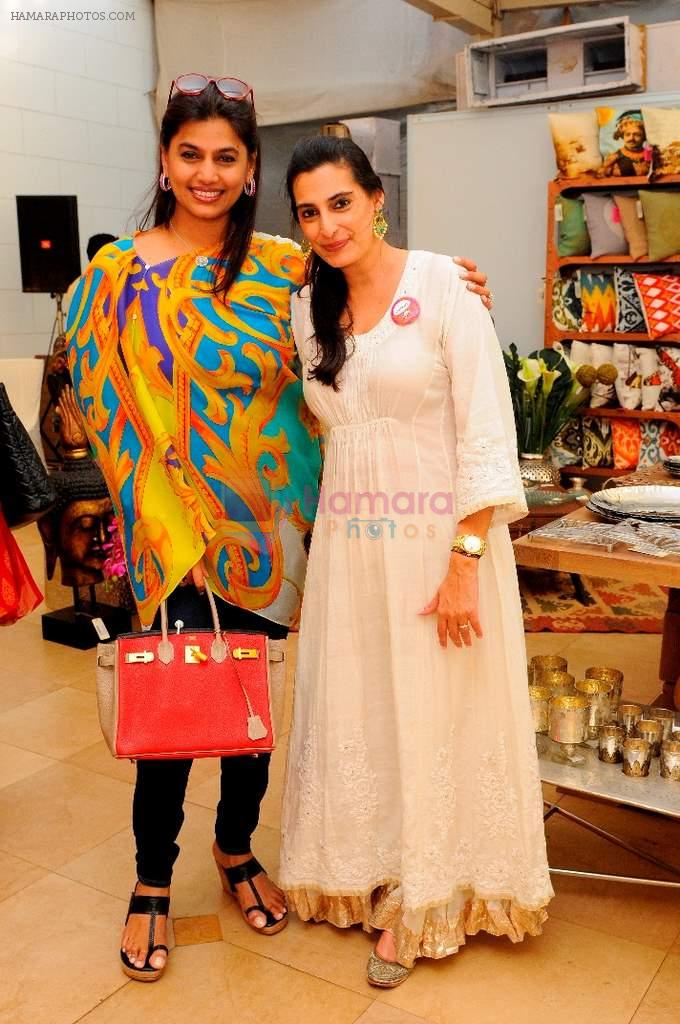Pinky Reddy & Mana Shetty at Araish in Mumbai on 8th Oct 2013