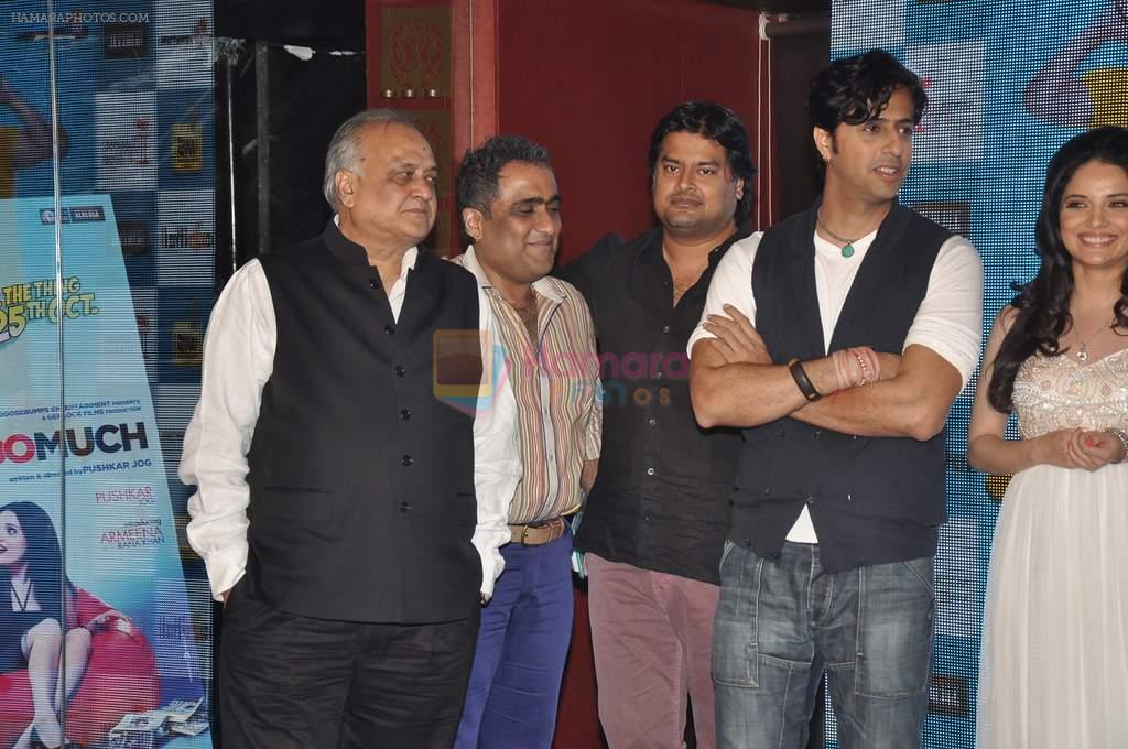 T P Aggarwal, Kunal Ganjawala, Clinton Cerejo, Salim merchant at Music Launch of Huff Its Too Much in Bandra, Mumbai on 9th Oct 2013