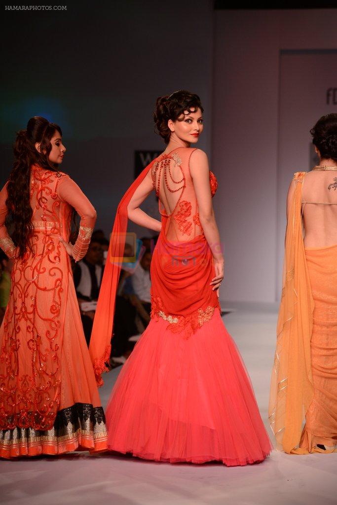 Urvashi Rautela walks for SOLTEE BY SULASKSHANA at Wills day 5 on WIFW 2014 on 13th Oct 2013
