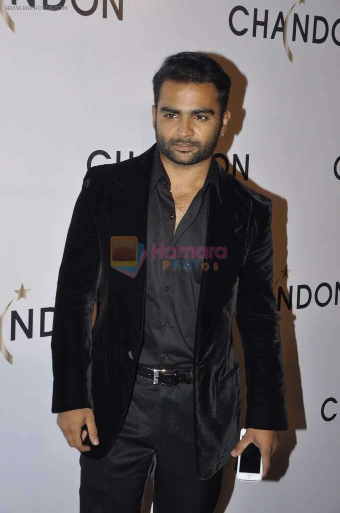 Sachiin Joshi at Moet Hennesey launch of Chandon wines made now in India in Four Seasons, Mumbai on 19th Oct 2013