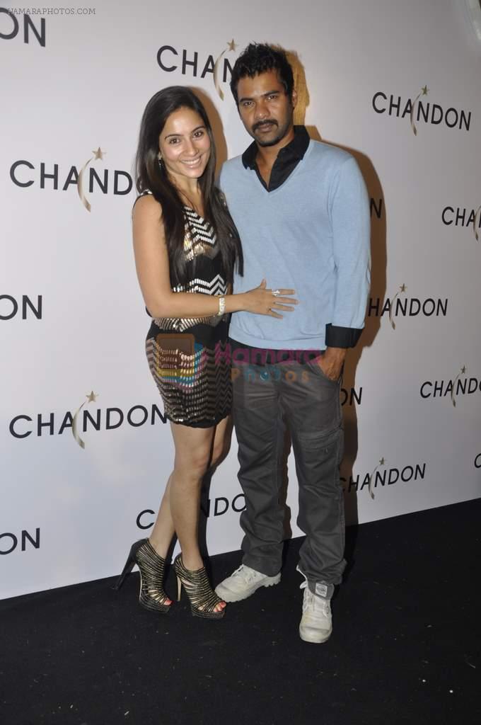 Shabbir Ahluwalia at Moet Hennesey launch of Chandon wines made now in India in Four Seasons, Mumbai on 19th Oct 2013