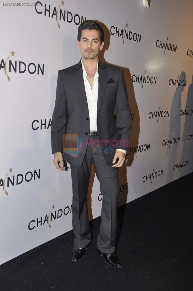 Neil Mukesh at Moet Hennesey launch of Chandon wines made now in India in Four Seasons, Mumbai on 19th Oct 2013