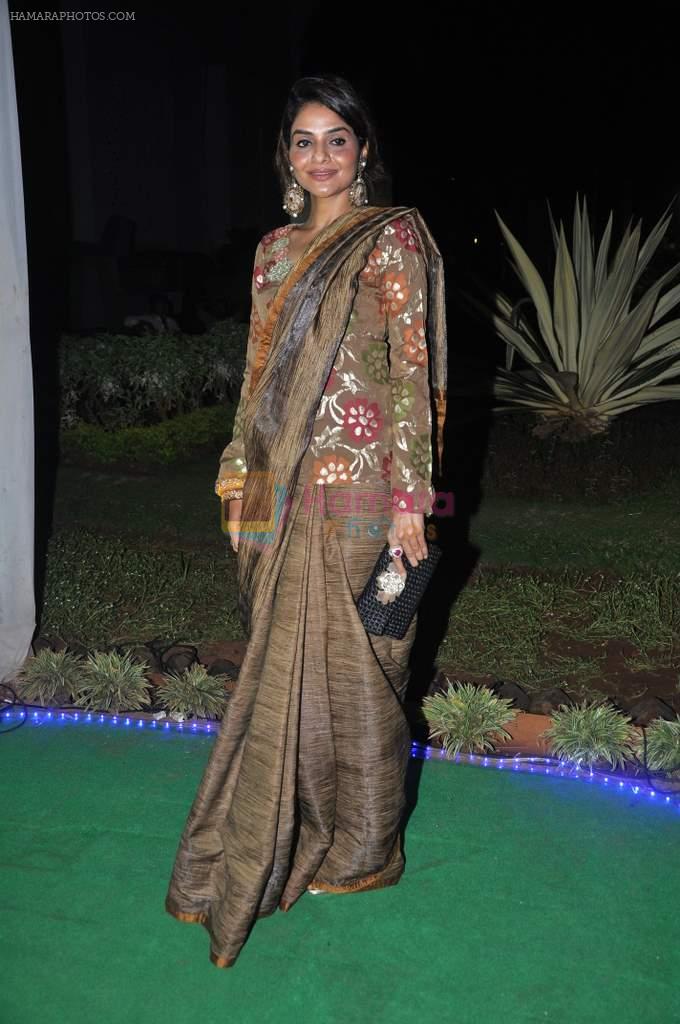 Madhoo Shah at Society Awards in Worli, Mumbai on 19th Oct 2013