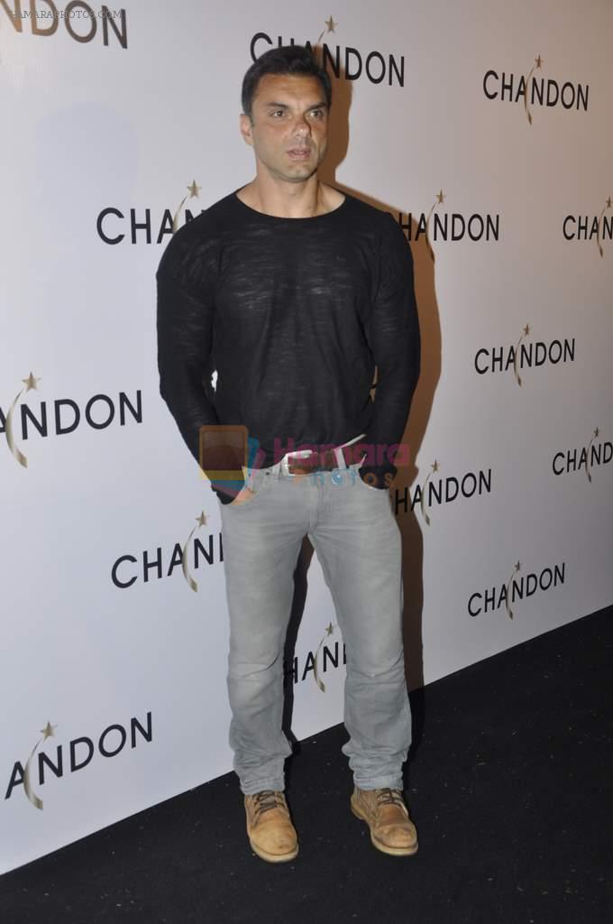 Sohail Khan at Moet Hennesey launch of Chandon wines made now in India in Four Seasons, Mumbai on 19th Oct 2013