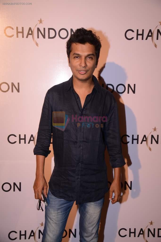 Vikram Phadnis at Moet Hennesey launch of Chandon wines made now in India in Four Seasons, Mumbai on 19th Oct 2013