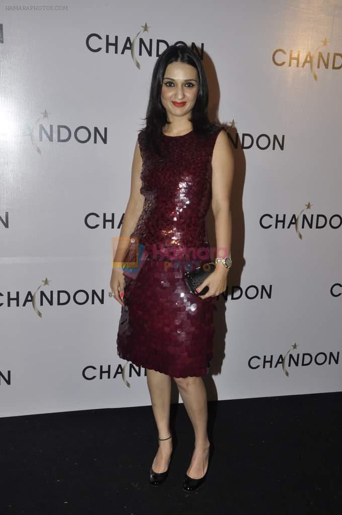Anu Dewan at Moet Hennesey launch of Chandon wines made now in India in Four Seasons, Mumbai on 19th Oct 2013