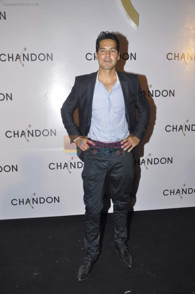 Dino Morea at Moet Hennesey launch of Chandon wines made now in India in Four Seasons, Mumbai on 19th Oct 2013
