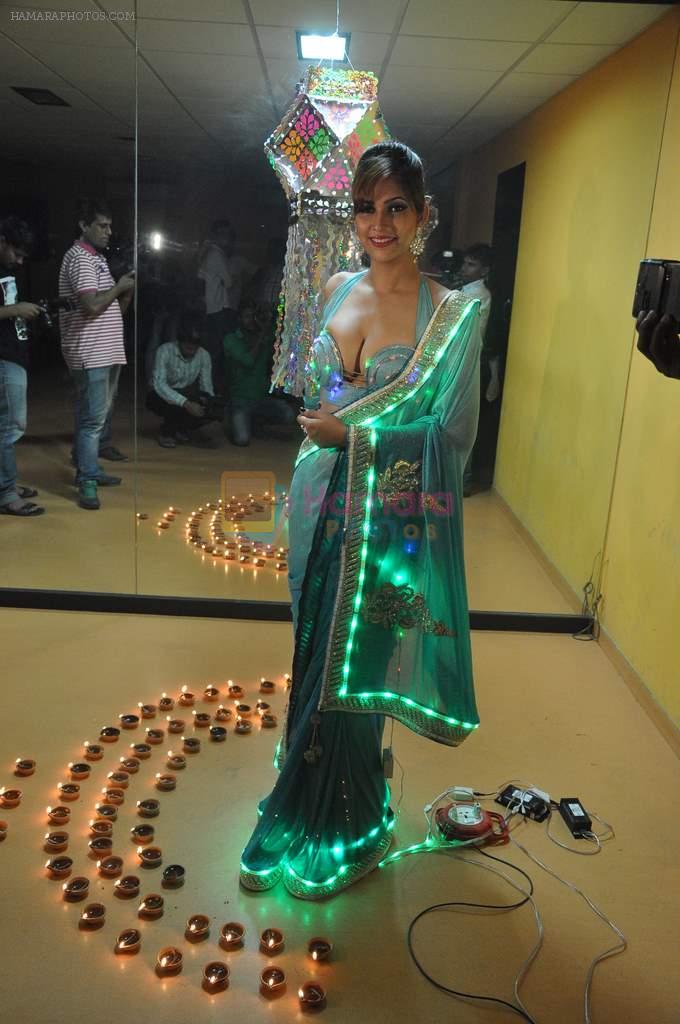 Tanisha Singh Diwali photo shoot in Mumbai on 27th Oct 2013