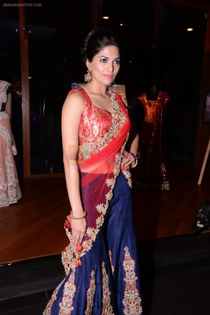 Parvathy Omanakuttan  at Prriya Chabbria festive collection launch in Mumbai on 28th Oct 2013
