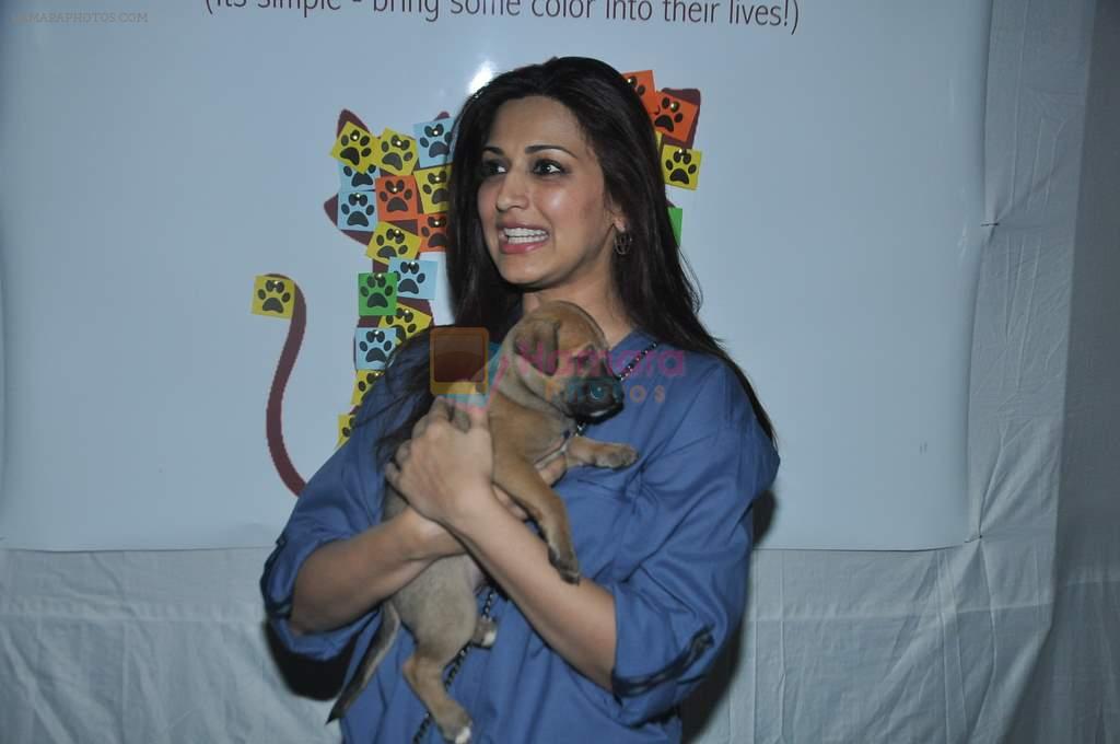 Sonali Bendre at pet adoption event in Khar, Mumbai on 24th Nov 2013