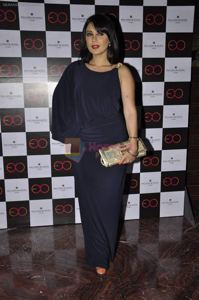 Minissha Lamba at new Lounge launch at Palladium in Palladium Hotel, Mumbai on 29th Nov 2013