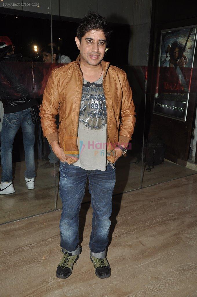 Harry Anand at Love U soniye screening in Cinemax, Mumbai on 8th Dec 2013