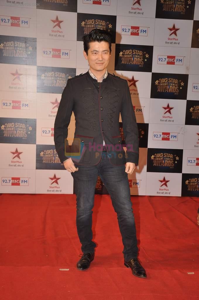 Meiyang Chang at Big Star Awards red carpet in Andheri, Mumbai on 18th Dec 2013