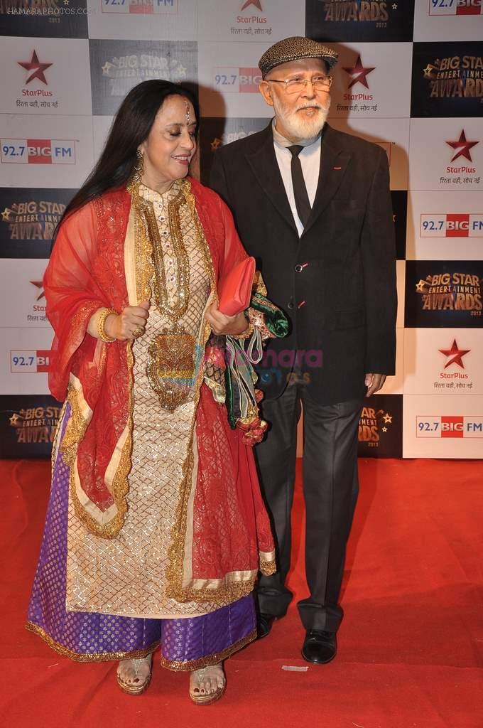 Ila Arun at Big Star Awards red carpet in Andheri, Mumbai on 18th Dec 2013