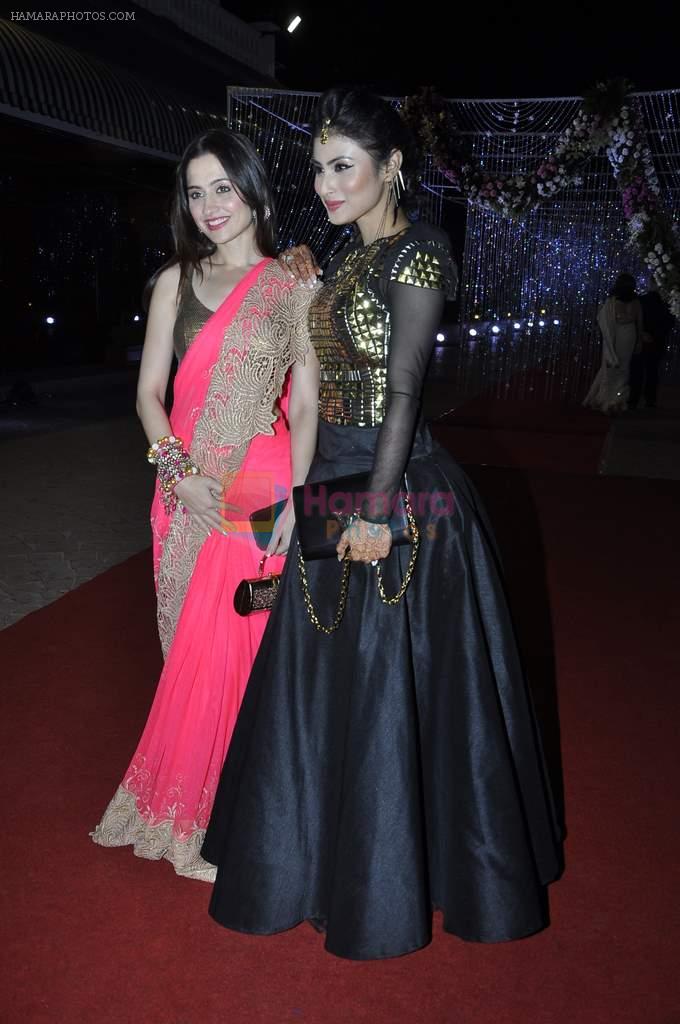 Mouni Roy at Aamna Sharif wedding reception in Mumbai on 28th Dec 2013