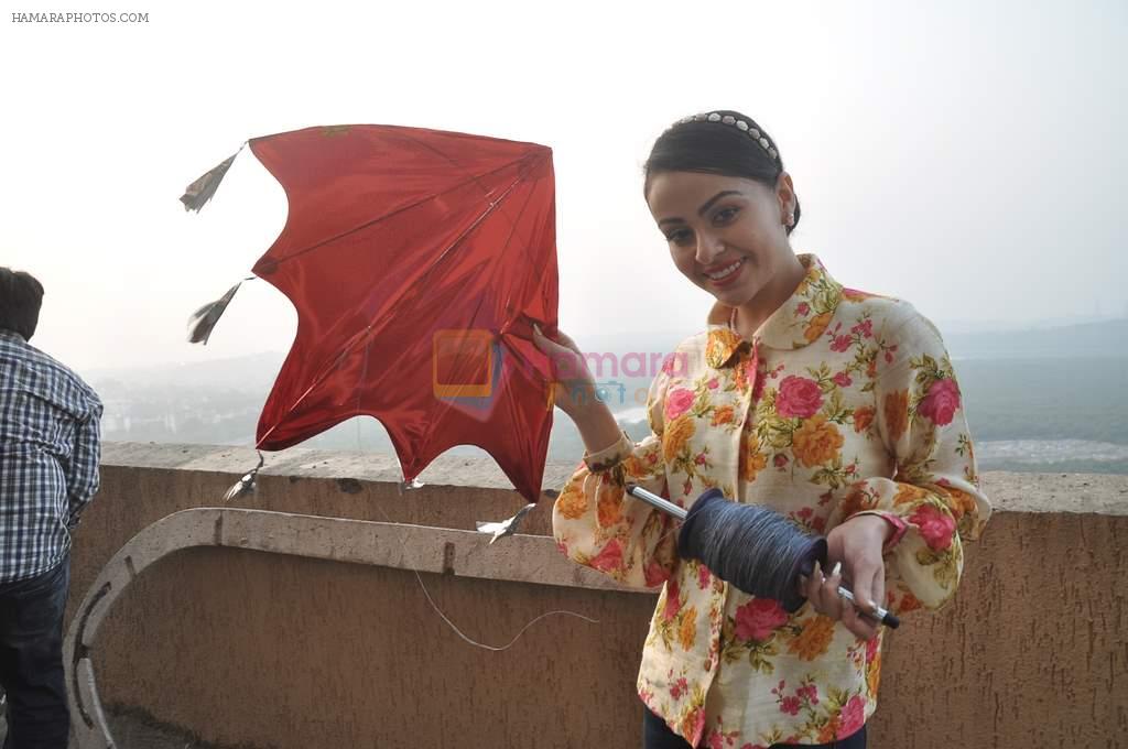 Ariana Ayam celebrate Adhyaan Suman's bday and Makar Sakranti celebrations in Oberoi Sky Garden on 14th Jan 2014