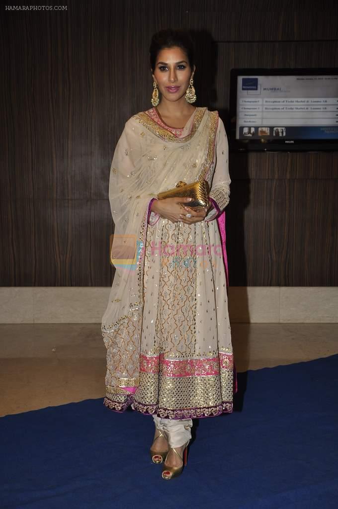 Sophie Chaudhary at singer Toshi Sabri's wedding reception in Novotel, Mumbai on 13th Jan 2014