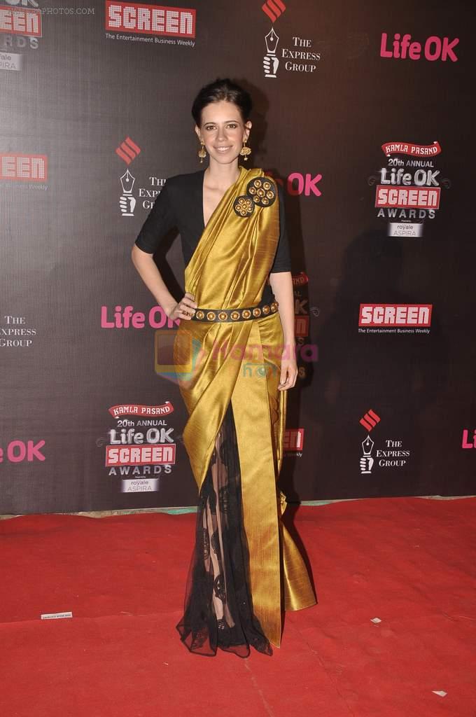 Kalki Koechlin at 20th Annual Life OK Screen Awards in Mumbai on 14th Jan 2014