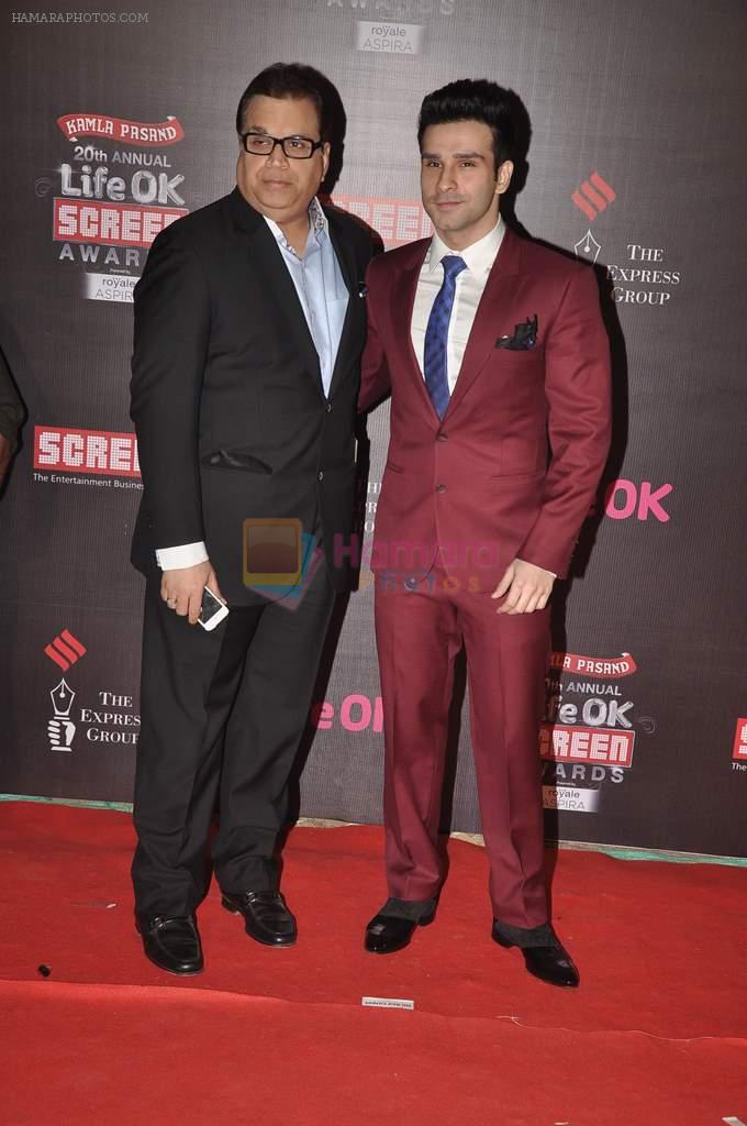 Girish Taurani at 20th Annual Life OK Screen Awards in Mumbai on 14th Jan 2014