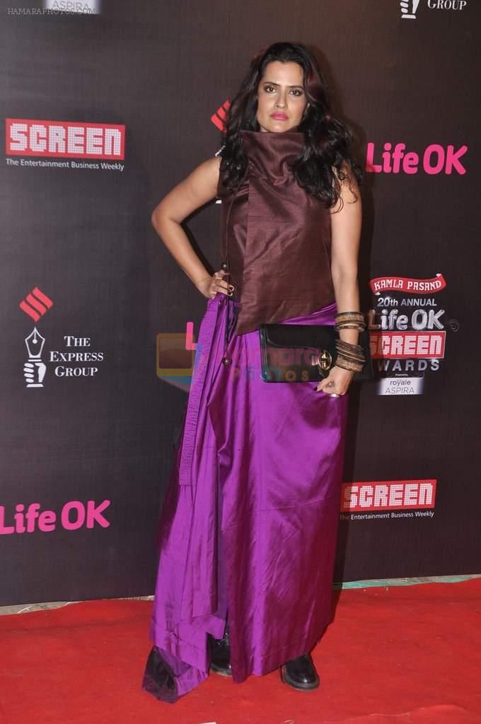 Sona Mohapatra at 20th Annual Life OK Screen Awards in Mumbai on 14th Jan 2014