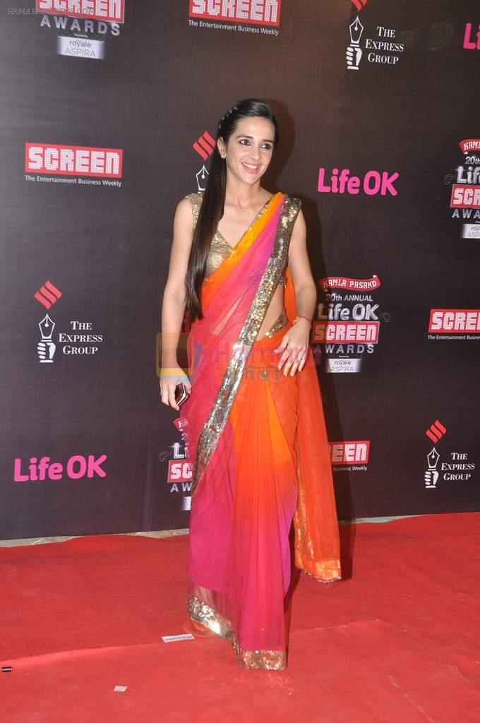 Tara Sharma at 20th Annual Life OK Screen Awards in Mumbai on 14th Jan 2014