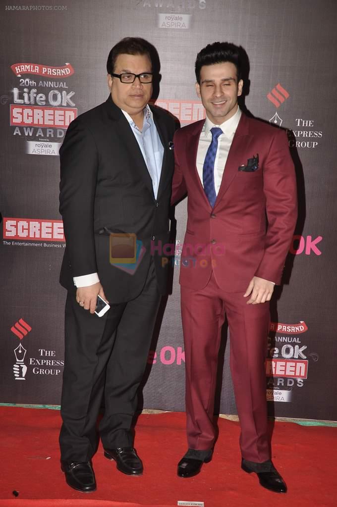 Girish Taurani at 20th Annual Life OK Screen Awards in Mumbai on 14th Jan 2014