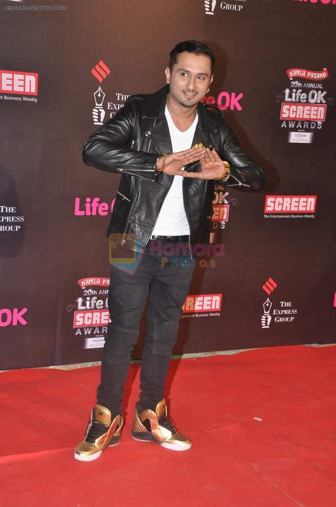 Yo Yo Honey Singh at 20th Annual Life OK Screen Awards in Mumbai on 14th Jan 2014