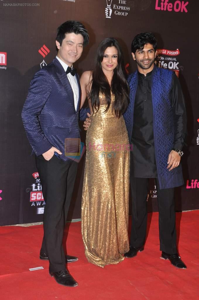 Mrinalini Sharma at 20th Annual Life OK Screen Awards in Mumbai on 14th Jan 2014