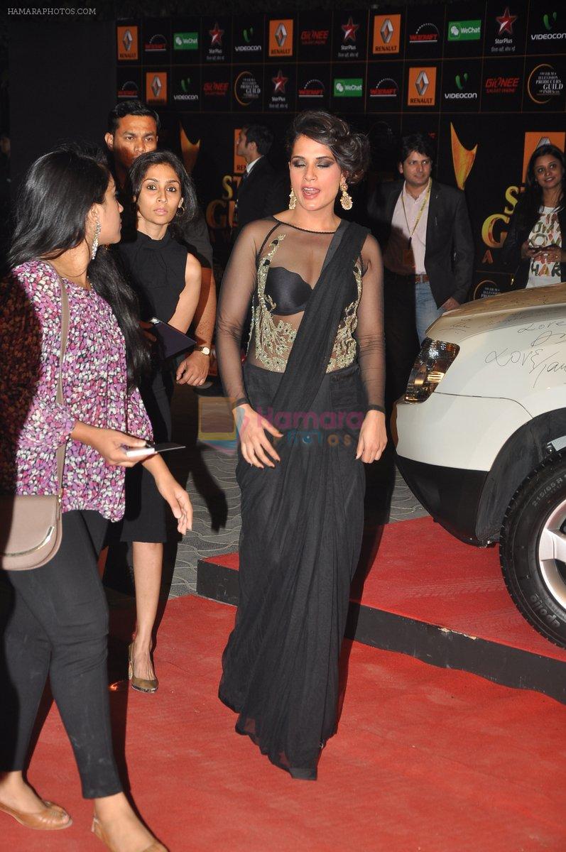 Richa Chadda at The Renault Star Guild Awards Ceremony in NSCI, Mumbai on 16th Jan 2014
