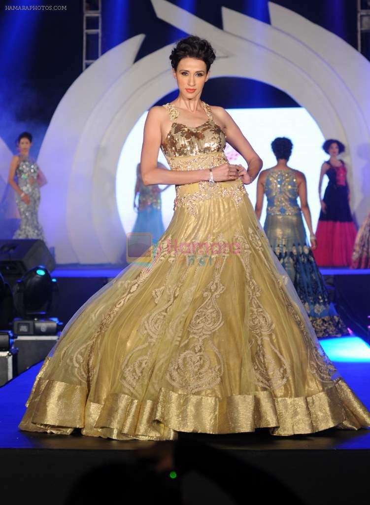 Alecia Raut walk for Rohhit Verma's fashion show in North East on 22nd Jan 2014