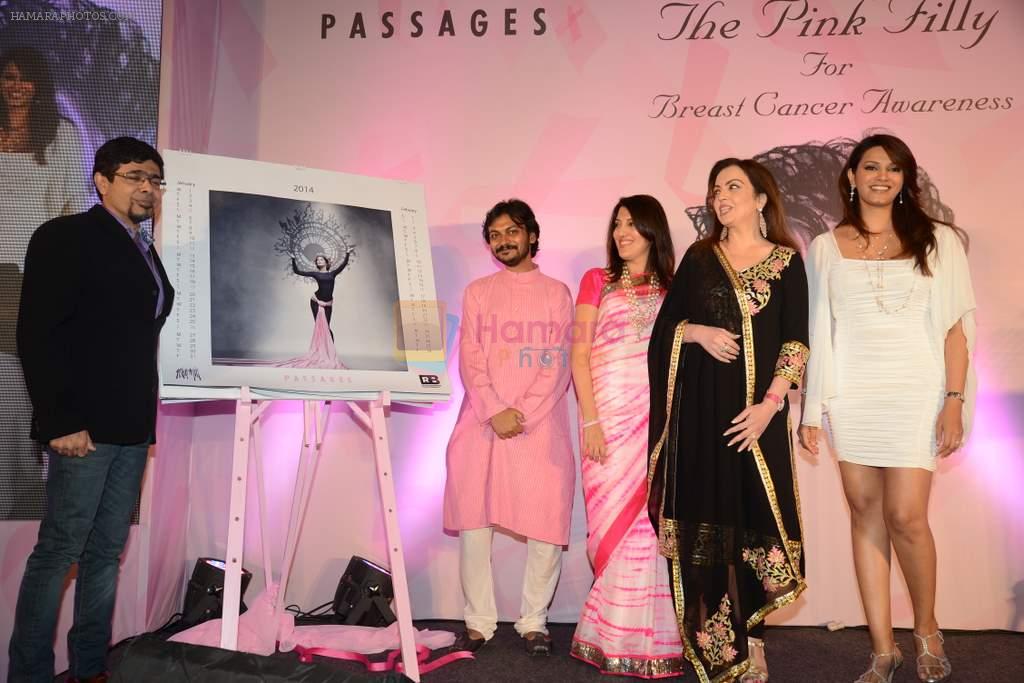 Nita Ambani, Diana Hayden at Passages art event hosted by Palladium Hotel in Palladium, Mumbai on 26th Jan 2014