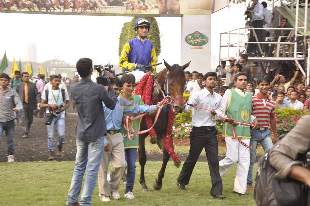 at McDowell's Signature Derby in Mahalaxmi Race Course, Mumbai on 2nd Feb 2014